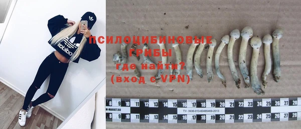 ALPHA-PVP Покачи