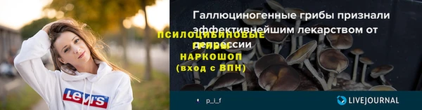 прущие крисы Кулебаки
