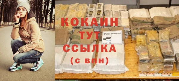 прущие грибы Кондопога