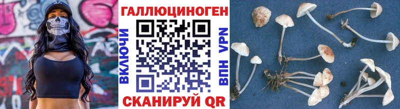 Псилоцибиновые грибы прущие грибы  Краснокамск 